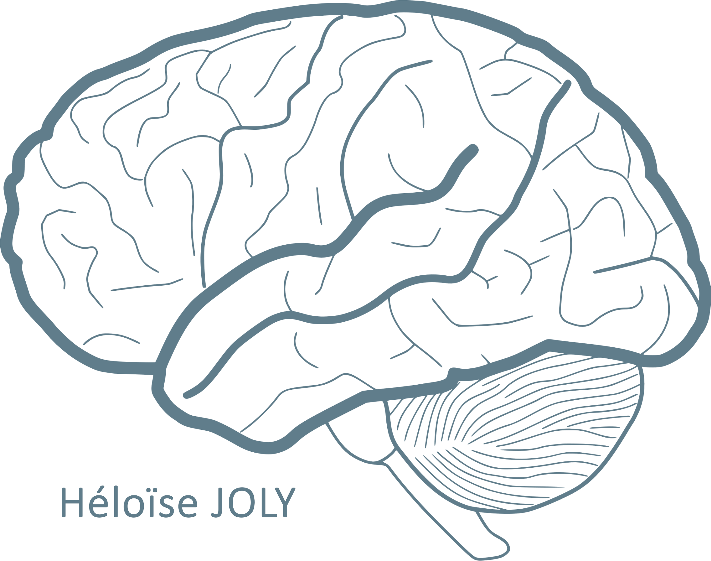 HÉLOÏSE JOLY  neuropsychologue                                  